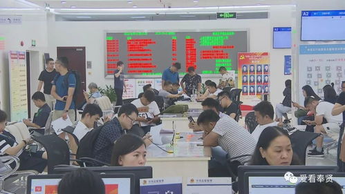 改革開放40周年丨一流的營商環境 助力奉賢成為投資熱土 投資咨詢服務