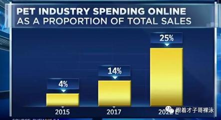 互聯(lián)網(wǎng)寵物商品銷售 下一個電商風(fēng)口？