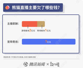 圖解王思聰商業風波 從“國民老公”到“限消令”漩渦，熊貓直播債務迷局待解